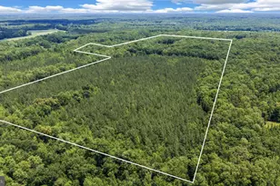 1271 Apple Grove Rd, Mineral, VA 23117 - Photo 6
