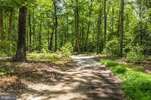 1271 Apple Grove Rd, Mineral, VA 23117 - Photo 66