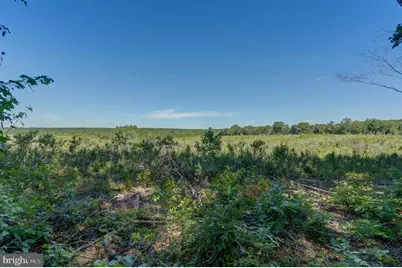 4319 Indian Creek Road, Mineral, VA 23117 - Photo 44