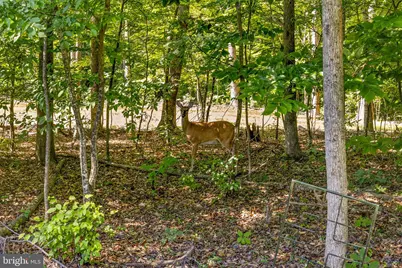 90 Holly Court, Mineral, VA 23117 - Photo 64