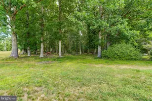 8858 Poindexter Rd, Louisa, VA 23093 - Photo 44