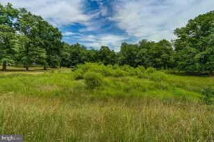 8858 Poindexter Rd, Louisa, VA 23093 - Photo 36