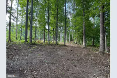 268 Compass Cove, Mineral, VA 23117 - Photo 6