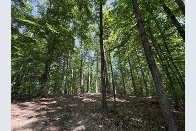 Lot 4A Parrish Road, Louisa, VA 23093 - Photo 4
