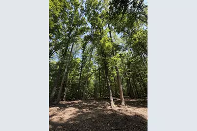 Lot 4A Parrish Road, Louisa, VA 23093 - Photo 10