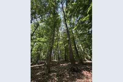 Lot 4A Parrish Road, Louisa, VA 23093 - Photo 6