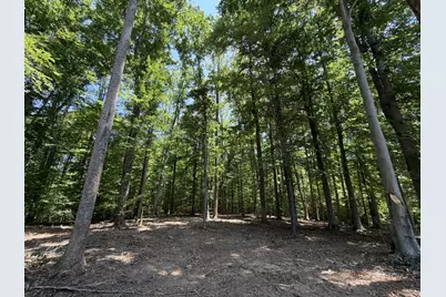 Lot 4A Parrish Road, Louisa, VA 23093 - Photo 8
