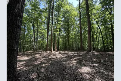 Lot 4A Parrish Road, Louisa, VA 23093 - Photo 2