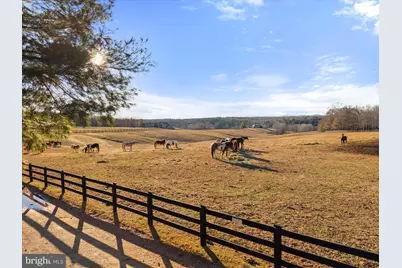 367 Pinehurst Drive, Gordonsville, VA 22942 - Photo 84