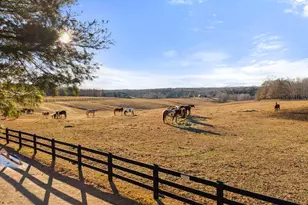367 Pinehurst Dr, Gordonsville, VA 22942 - Photo 84