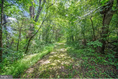 446 Bailey Drive, Louisa, VA 23093 - Photo 48