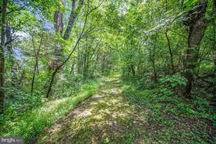 446 Bailey Dr, Louisa, VA 23093 - Photo 48