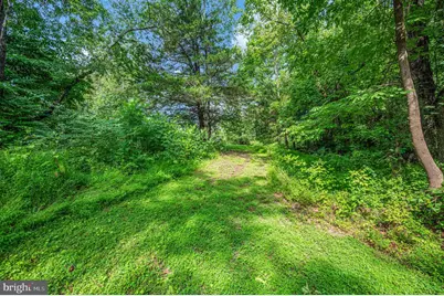 Troy Rd., Louisa, VA 23093 - Photo 14
