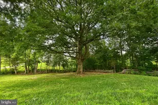 200 Seclusion Shores Dr, Mineral, VA 23117 - Photo 54