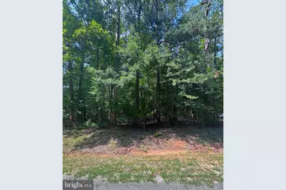 Lot 42 Wades Run, Mineral, VA 23117 - Photo 22