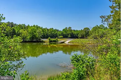 483 Windwood Coves Boulevard, Mineral, VA 23117 - Photo 74