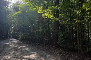 Lot 20 Foxbrook Ln, Louisa, VA 23093 - Photo 1