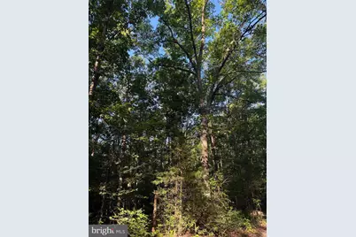 Lot 20 Foxbrook Lane, Louisa, VA 23093 - Photo 4
