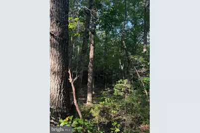 Lot 20 Foxbrook Lane, Louisa, VA 23093 - Photo 6