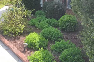 440 Reedy Creek Rd, Louisa, VA 23093 - Photo 20