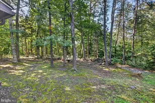 338 Dogwood Draw, Mineral, VA 23117 - Photo 44