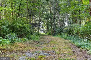 168 Alma Rd, Louisa, VA 23093 - Photo 40