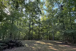 Lot 79B Everett Ln, Louisa, VA 23093 - Photo 1