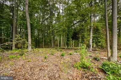 Southern Ridge, Mineral, VA 23117 - Photo 10