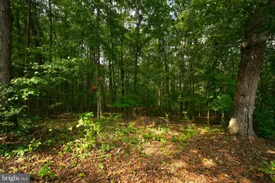130 Johnson Hollow Road, Louisa, VA 23093 - Photo 14
