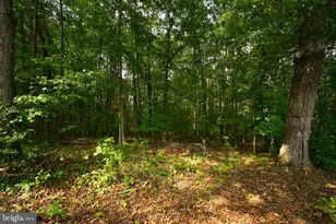 130 Johnson Hollow Rd, Louisa, VA 23093 - Photo 14