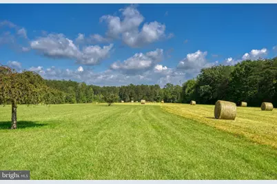 130 Johnson Hollow Road, Louisa, VA 23093 - Photo 6