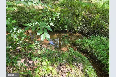 Johnson Hollow, Louisa, VA 23093 - Photo 2