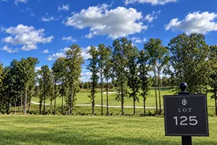 Lot 125 Tatum Dr, Mineral, VA 23117 - Photo 1