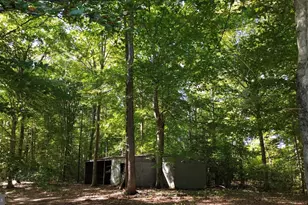 147 Belsches Rd, Bumpass, VA 23024 - Photo 34