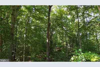 3 Acres Belsches Road, Bumpass, VA 23024 - Photo 2