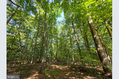 3 Acres Belsches Road, Bumpass, VA 23024 - Photo 6