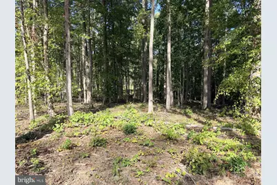 Lot 71 Compass Cove, Mineral, VA 23117 - Photo 4