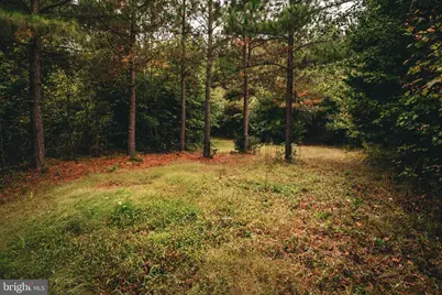 0 Cross County Road, Mineral, VA 23117 - Photo 84