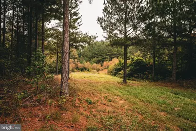 0 Cross County Road, Mineral, VA 23117 - Photo 70