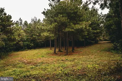 0 Cross County Road, Mineral, VA 23117 - Photo 64