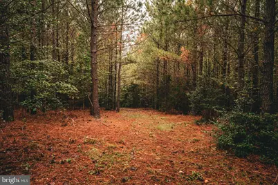 0 Cross County Road, Mineral, VA 23117 - Photo 54