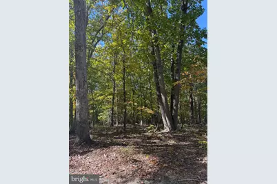 Lot 187 N Timber Tribe, Mineral, VA 23117 - Photo 14