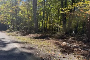 Lot 187 N Timber Tribe, Mineral, VA 23117 - Photo 1