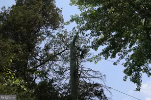 24118 Trailhead Dr, Aldie, VA 20105 - Photo 12