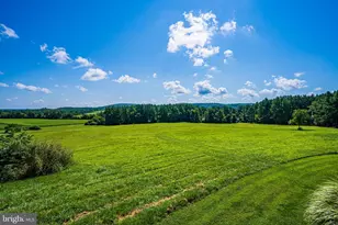 38780 Chelten Ln, Middleburg, VA 20117 - Photo 70
