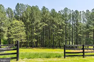 38793 Chelten Ln, Middleburg, VA 20117 - Photo 48