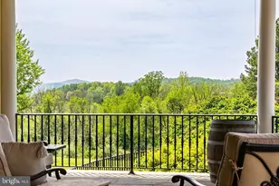 38793 Chelten Ln, Middleburg, VA 20117 - Photo 38