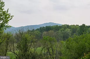 38793 Chelten Ln, Middleburg, VA 20117 - Photo 34