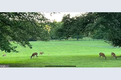 42024 Brightwood Lane, Leesburg, VA 20176 - Photo 66