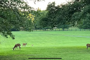 42024 Brightwood Ln, Leesburg, VA 20176 - Photo 66